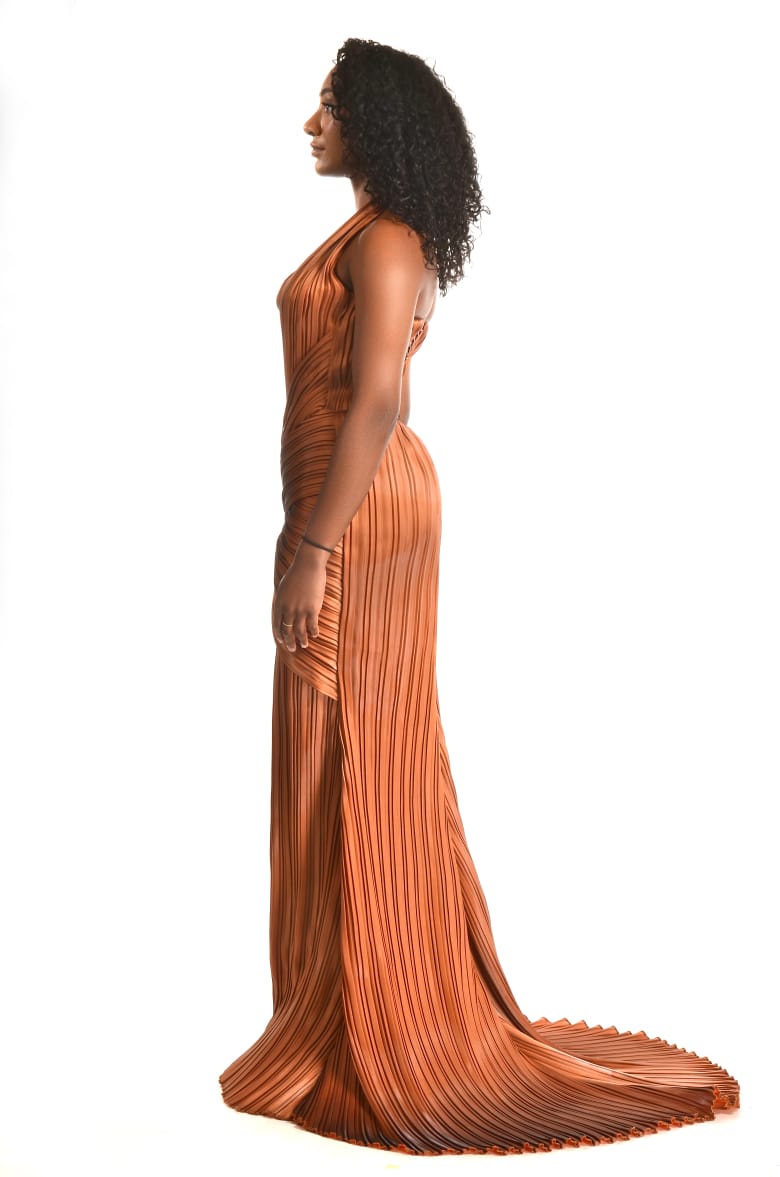 The Terracotta Pleated Dress