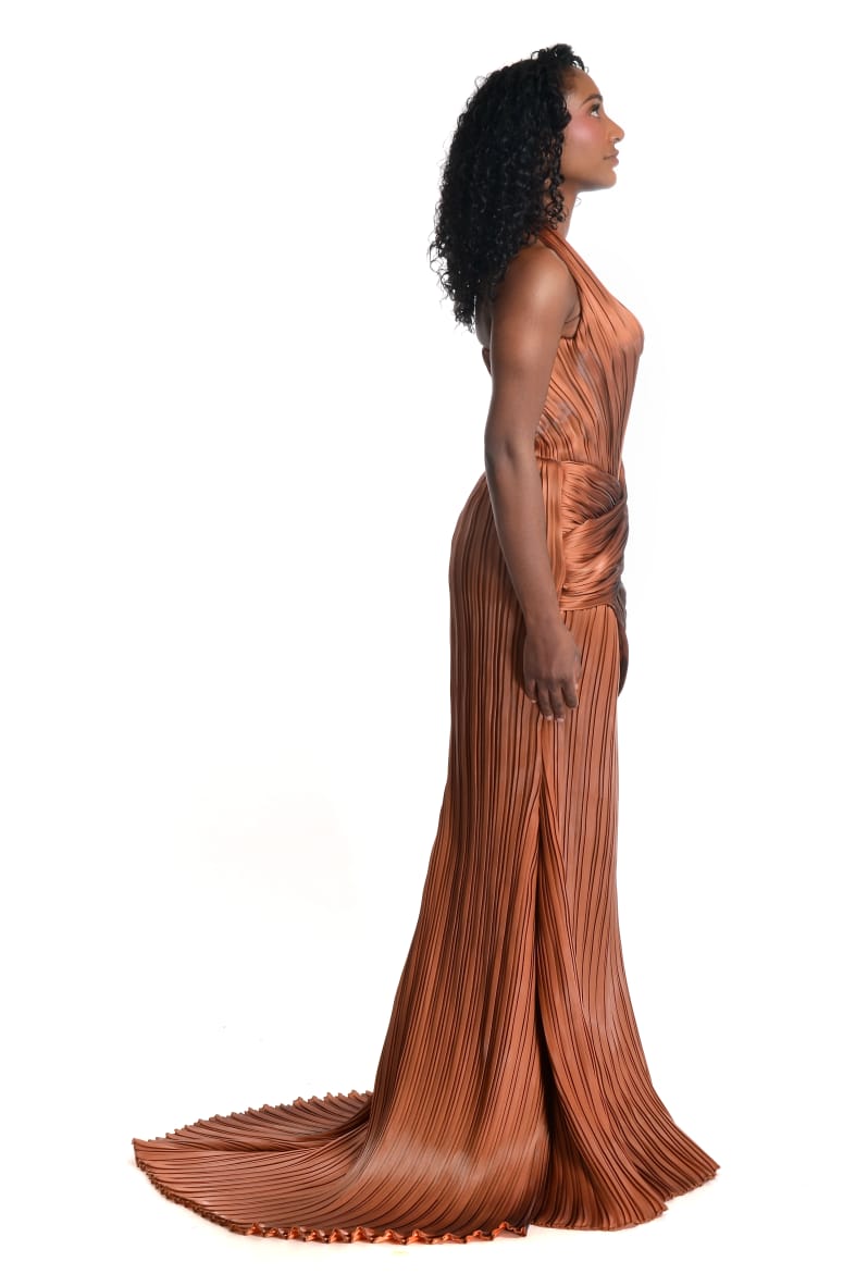 dress terracotta The Terracotta Pleated Dress – Saraanyaaaa